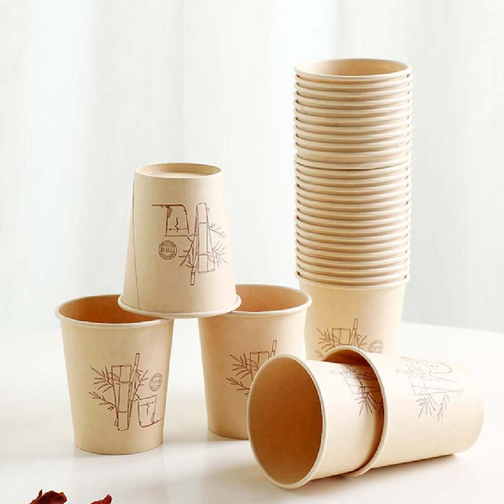 Vasos de Café de Bambú Eco ☕🌿 | Pack 50 Unidades